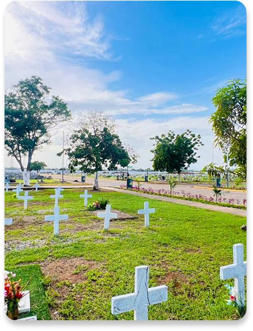 Virgen de Coromoto 3